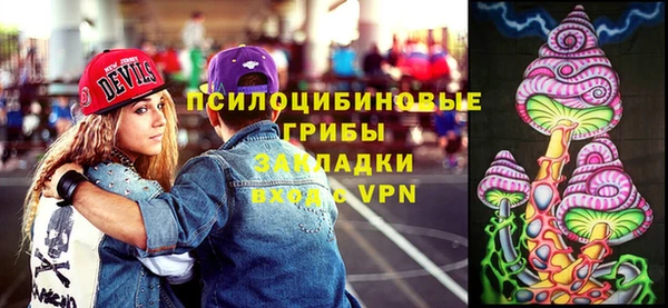 гашик Горняк