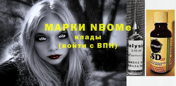 гашик Горняк