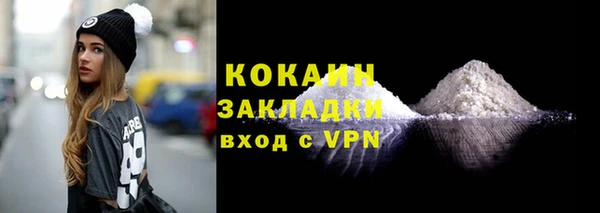 гашик Горняк