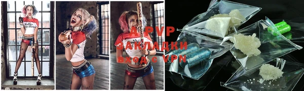 гашик Горняк