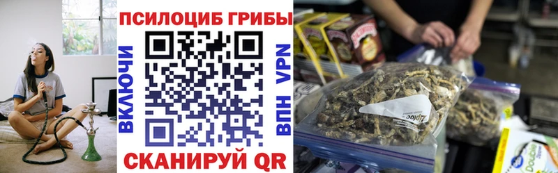 blacksprut как войти  наркошоп  Оханск  Псилоцибиновые грибы Cubensis 